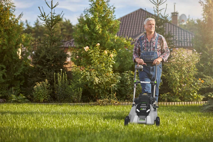 the best electric mower